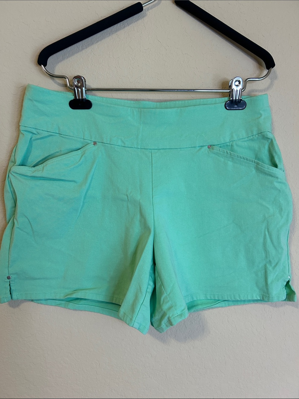 INC International Concepts Mint Green Shorts
Size 12